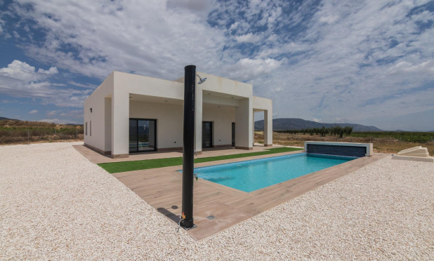 New Build - Villa - Pinoso - Campo