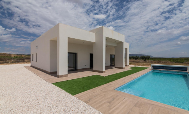 Obra nueva - Villa - Pinoso - Campo