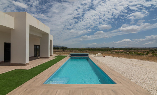 Obra nueva - Villa - Pinoso - Campo