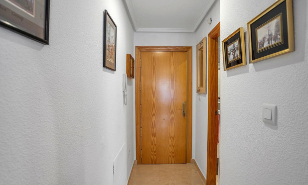 Wiederverkauf - Wohnung - Torrevieja - Estacion de autobuses