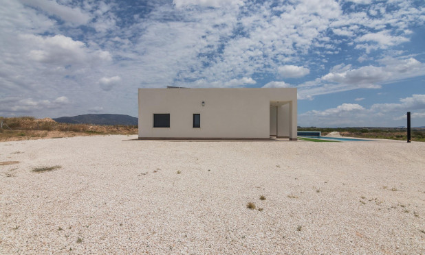 Obra nueva - Villa - Pinoso - Campo