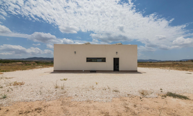 Obra nueva - Villa - Pinoso - Campo