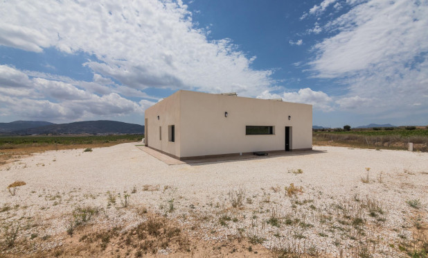 New Build - Villa - Pinoso - Campo