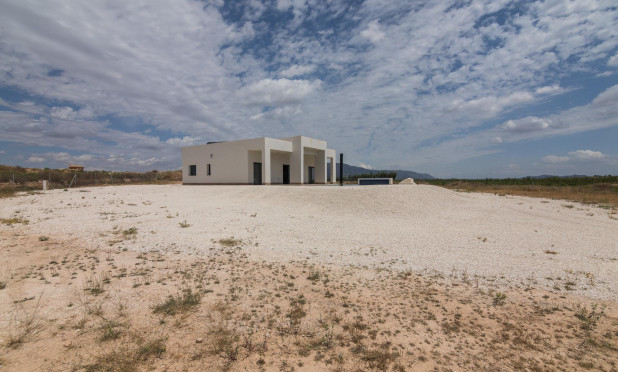 Obra nueva - Villa - Pinoso - Campo