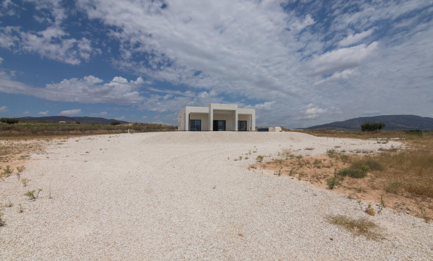 Obra nueva - Villa - Pinoso - Campo