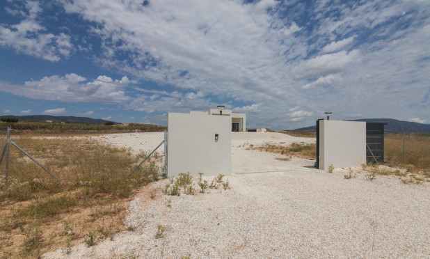 Obra nueva - Villa - Pinoso - Campo