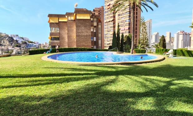 Resale - Apartment / flat - Benidorm - Zona de Poniente