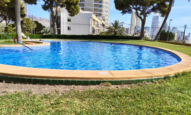 Resale - Apartment / flat - Benidorm - Zona de Poniente