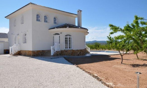 Obra nueva - Villa - Pinoso - Campo