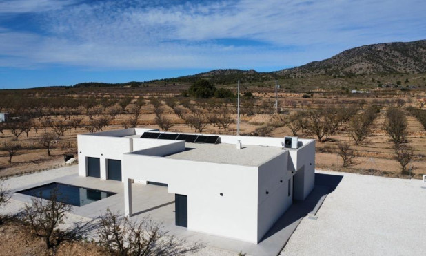 Obra nueva - Villa - Pinoso - Campo