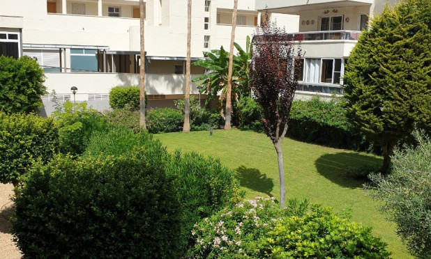 Revente - Appartement - Albir