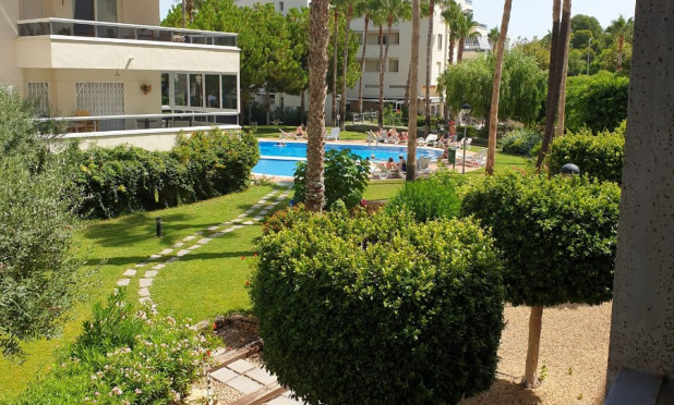 Revente - Appartement - Albir