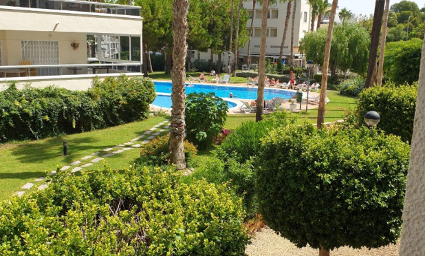 Revente - Appartement - Albir