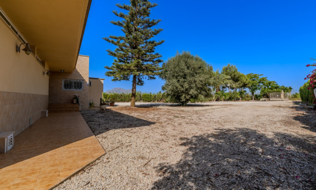 Herverkoop - Finca / Landelijke woning - Almoradí