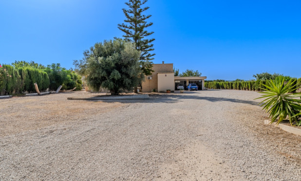 Herverkoop - Finca / Landelijke woning - Almoradí