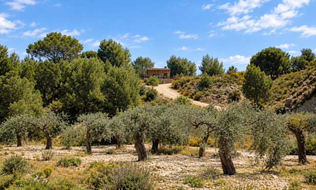 Revente - Villa - Murcia - Costa Blanca Sur