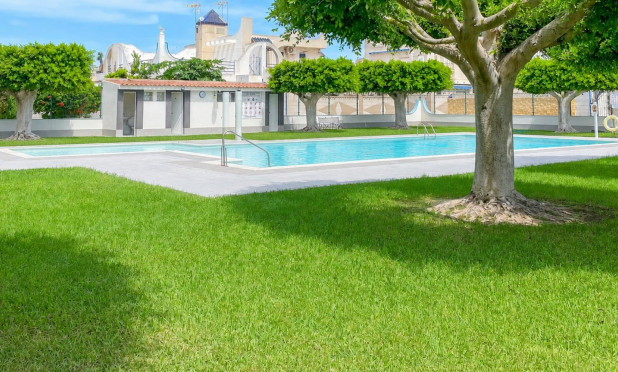 Revente - Maison de ville - Torrevieja - La Siesta - El Salado -  Torreta