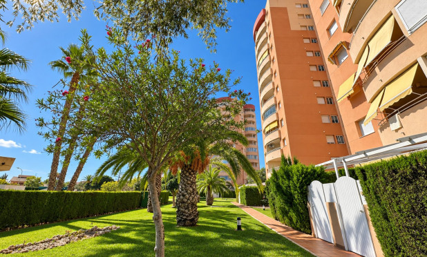 Revente - Apartment / Duplex - Orihuela Costa - Campoamor