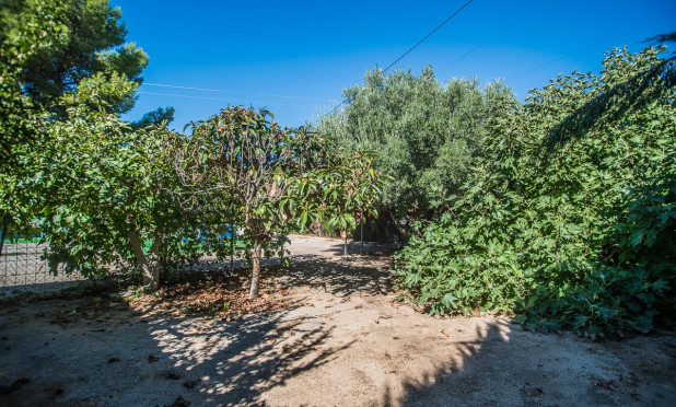 Wiederverkauf - Finca / Landgut - Orihuela - Redovan
