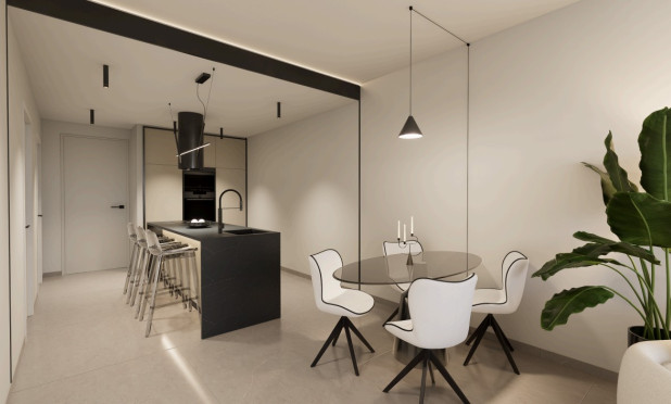 Nouvelle construction - Maison de ville - San Miguel de Salinas