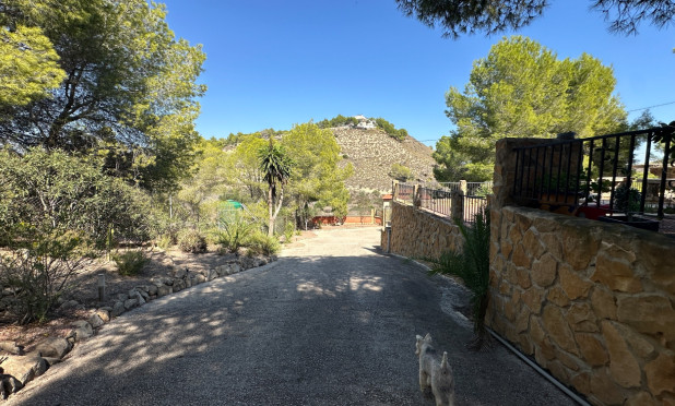 Wiederverkauf - Finca / Country House - San Miguel de Salinas - Costa Blanca Sur