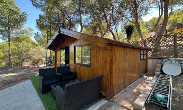 Wiederverkauf - Finca / Country House - San Miguel de Salinas - Costa Blanca Sur