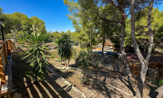 Wiederverkauf - Finca / Country House - San Miguel de Salinas - Costa Blanca Sur