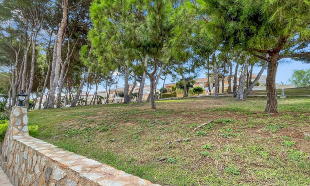 Reventa - Apartamento / piso - Mil Palmeras