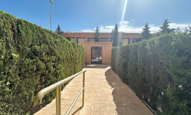 Odsprzedaż - Apartment / Duplex - Torrevieja - torrevieja