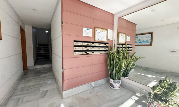 Odsprzedaż - Apartment / Duplex - Torrevieja - torrevieja