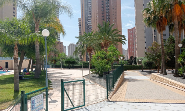Resale - Apartment / flat - Benidorm - Levante