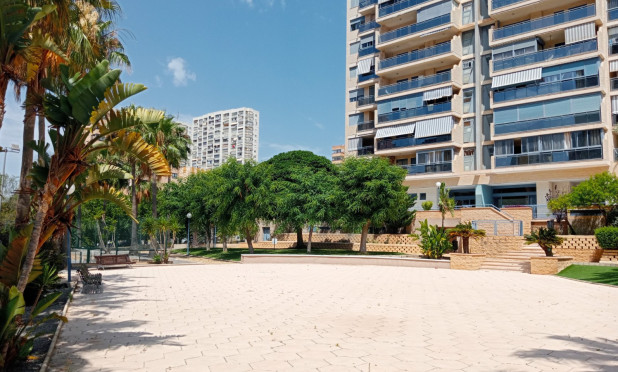 Resale - Apartment / flat - Benidorm - Levante