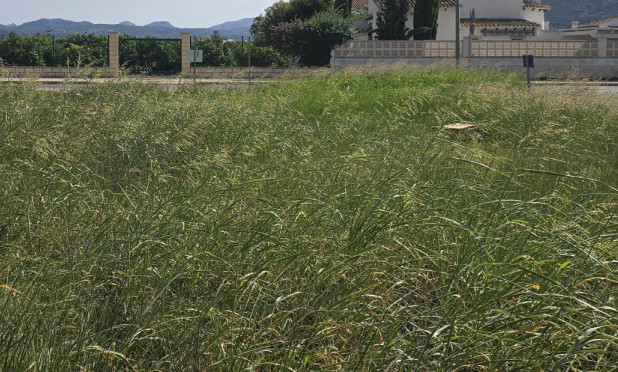 Resale - Plot / Land - Els Poblets