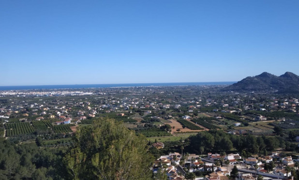 Revente - Parcelle / Terrain - Pedreguer