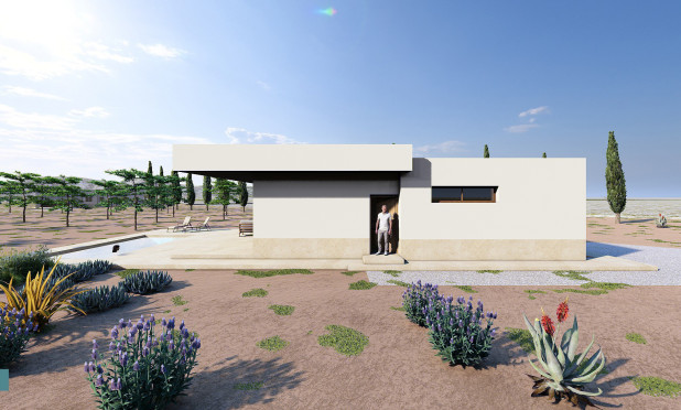 Nouvelle construction - Villa - Pinoso