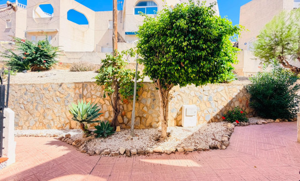 Resale - Apartment / flat - San Miguel de Salinas