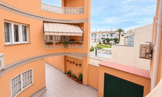 Wiederverkauf - Wohnung - Torrevieja - Estacion de autobuses
