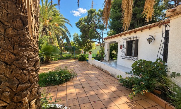 Resale - Villa - Orihuela Costa - Punta Prima
