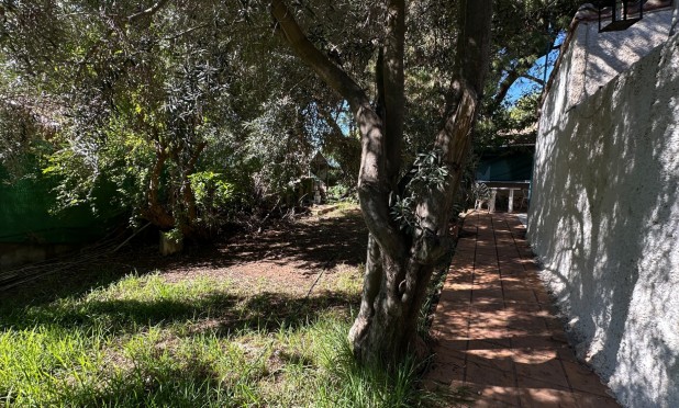Resale - Villa - Orihuela Costa - Punta Prima