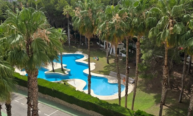 Revente - Appartement - Orihuela Costa - Dehesa de campoamor