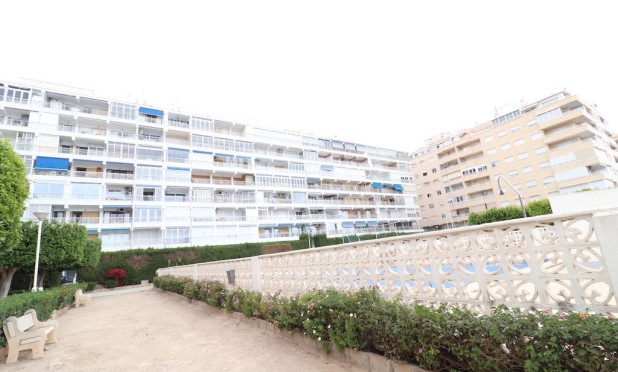 Reventa - Apartamento / piso - Torrevieja - torrevieja