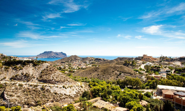 Obra nueva - Ático - Aguilas - Collados