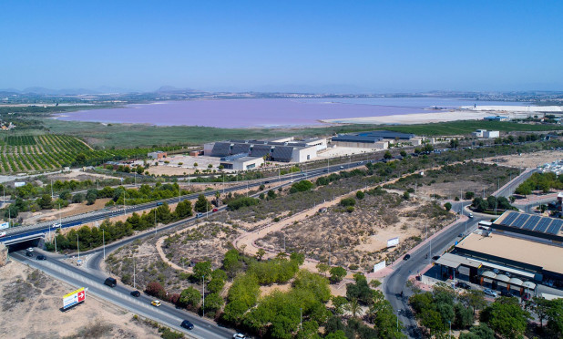 Langfristige Vermietung - Wohnung - Torrevieja - La Veleta