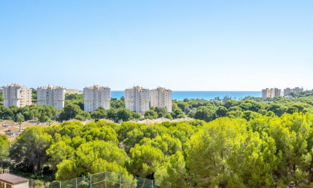 Wiederverkauf - Wohnung - Orihuela Costa - Altos de Campoamor