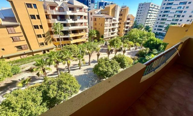 Wiederverkauf - Wohnung - Torrevieja - Punta prima