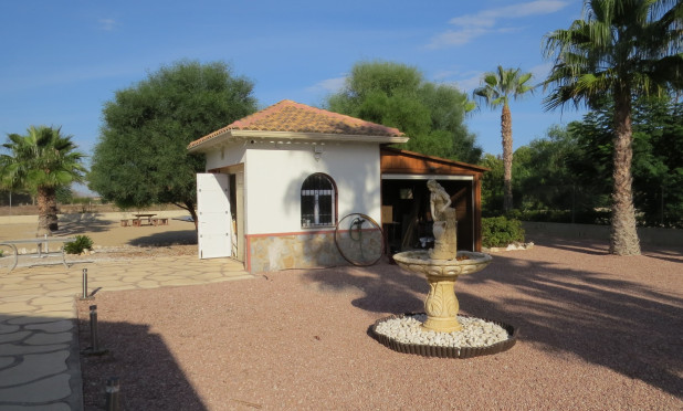 Resale - Finca / Country Property - Guardamar del Segura - Daya Vieja