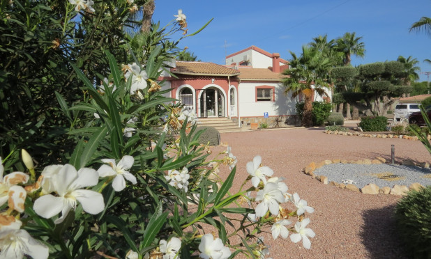 Resale - Finca / Country Property - Guardamar del Segura - Daya Vieja