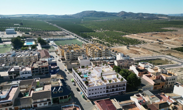 Obra nueva - Ático - Algorfa - Pueblo