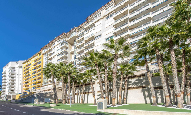 Herverkoop - Appartement / flat - Orihuela Costa - Campoamor