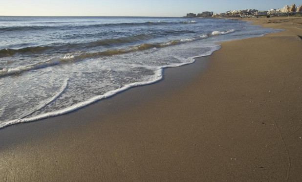 Obra nueva - Adosado - Torrevieja - Aguas Nuevas